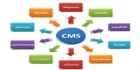 Blog Single Image